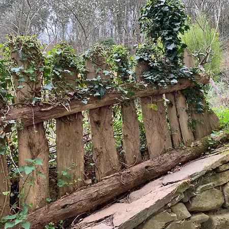 Chalet En Santa Cruz-mieres Bustiello (Mieres)